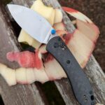 Vosteed Mini Nightshade