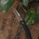 Today’s pocket pal ❤️