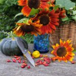 Shirogorov flipper 95 knife