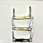 Case xx tested question