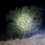 Sometimes your phone light is not enough)