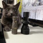 Thor 1, Thor 2 and dramatic cat.