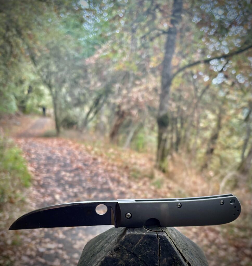 Spyderco Swayback