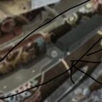 Where i can buy pr find this knofe