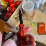 Help me find this little guy!