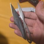 Petrified Fish Hummingbird