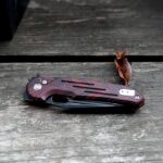 Vosteed Thunderbird RAre