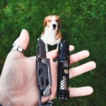 My Everyday Companions