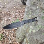 This happened while I was throwing my dagger at a tree