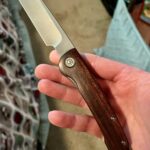 Petrified Fish Scholar