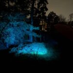 Forget about the E17A Azure, the Cyan Zoomie is here!