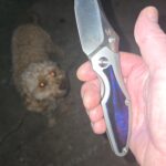 Baba Yaga dogs like wtf