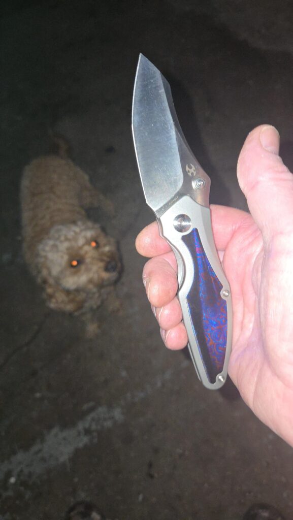 Baba Yaga dogs like wtf
