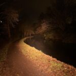 🫘 DA1 NTG50 2700K 🫘