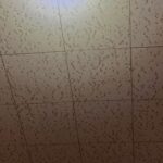 I’m looking for a flashlight that’s a good price and size but has a solid continuous beam of light