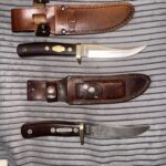 Early 90’s OT Mountain Lion Vs. 2025 OT Mountain Lion