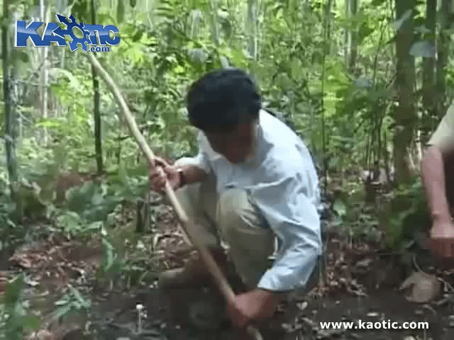 Cambodian Man Shows How To Deactivate Live Landmines