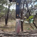 Taking my knife for a walk