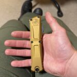 First Combat Troodon