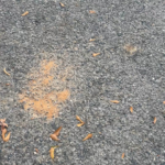 Wife got me a custom pyrite!