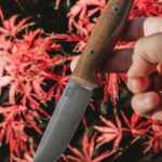 nice for a fall to finally arrive