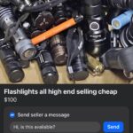 Which one of you is this