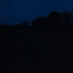 Christmas beans for my family 🎅 🫘