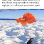 And people ask why I carry a knife…