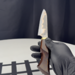 Video of my petty chef