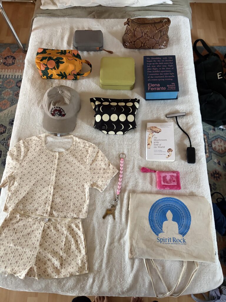 Large Carry on Bag ✈️