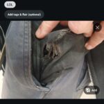 Reddit won't let me upload the actual photo?