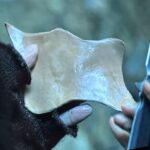 CRKT LKC in Apple’s Invasion Series