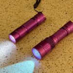 NLD: Purple Convoy cousins