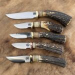 STAG STAG STAG STAG (and sheep!)