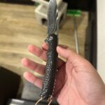 What do we think of this