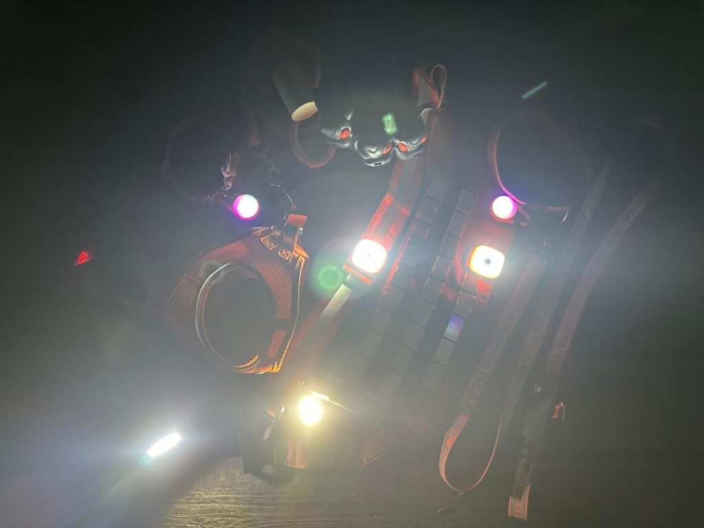 Dog walk lights (WIP)