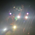 Dog walk lights (WIP)