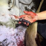 Microtech’s LUDT is one of the best knives on the planet