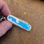 Dessert warrior scales