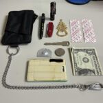 Lo que cargo en mi cartera.