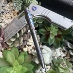 Brown Yeager-M V3 and BS Campen