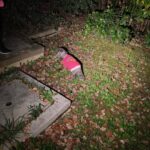 Dog walking light! Wurkkos FC11C 4000K dedomed and 45° smooth TIR