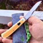 What dost thou carry in thy pouch this fair Saturday morn?