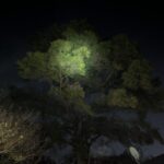 Got my Wurkkos HD01 Pro! Wow