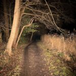 🎄 New build (⚠️ Burn Hazard ⚠️) – Convoy S11 | 519A 2S2P High CRI Monster 🔥 | With 🫘