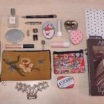 Everything in my bag today!