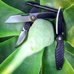 This agave is really happy to see you.