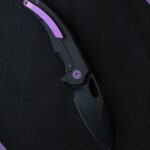 Black Panther anyone?