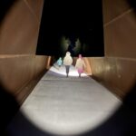Family flashlight walks