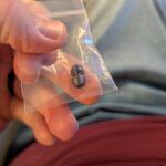 Do the Ad20.5 thumb studs fit any other knives?